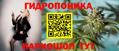 ГАЛЛЮЦИНОГЕННЫЕ ГРИБЫ Гусев
