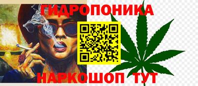 ГАЛЛЮЦИНОГЕННЫЕ ГРИБЫ Гусев