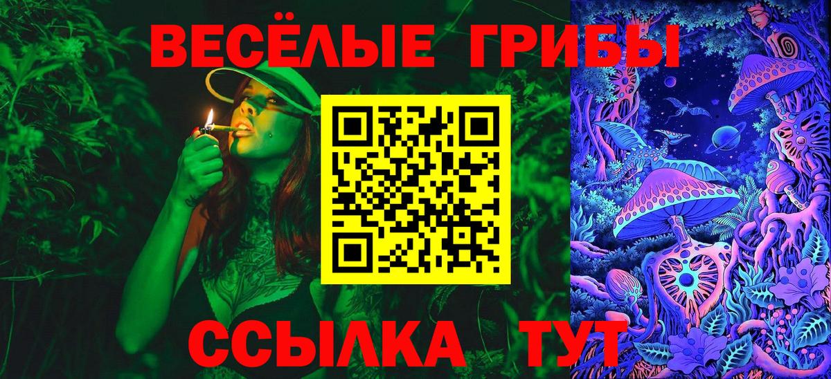Галлюциногенные грибы MAGIC MUSHROOMS Нальчик