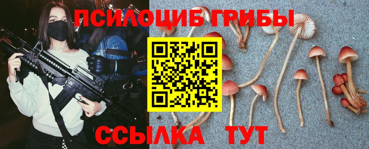 Нальчик  Псилоцибиновые грибы мицелий  Вход с VPN  Псилоцибиновые грибы MAGIC MUSHROOMS 